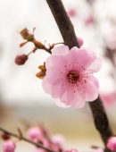 第1827章 各取所需！（求订阅！）“开云电竞官方网站”