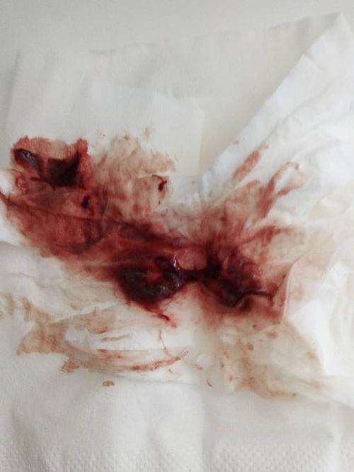 开云电竞官方网站