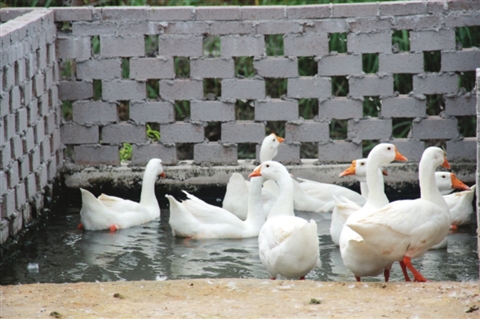 开云电竞官方网站