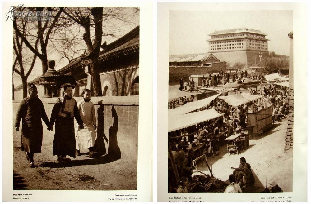 金丝草的功效与作用【开云电竞中国】