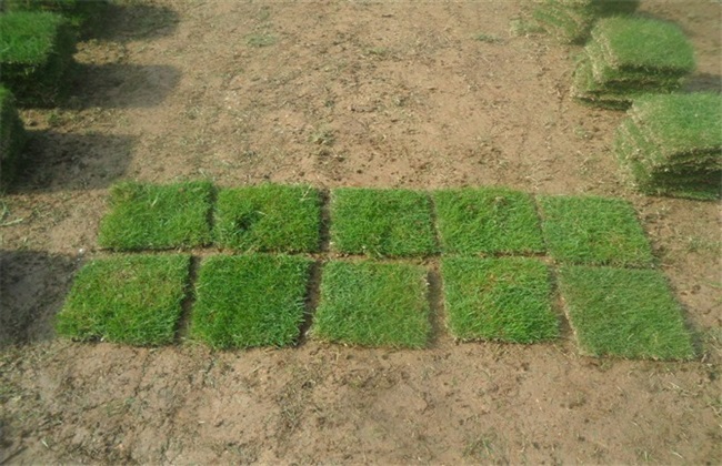 第981章 准！‘开云电竞官方网站’