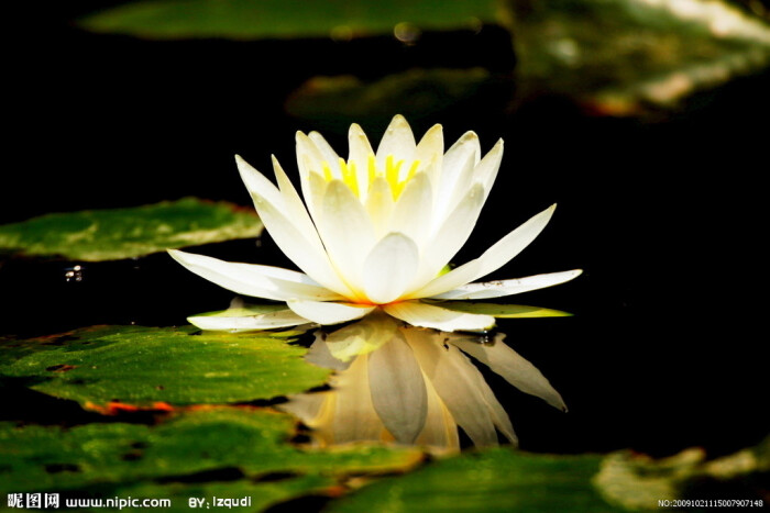 开云电竞官方网站