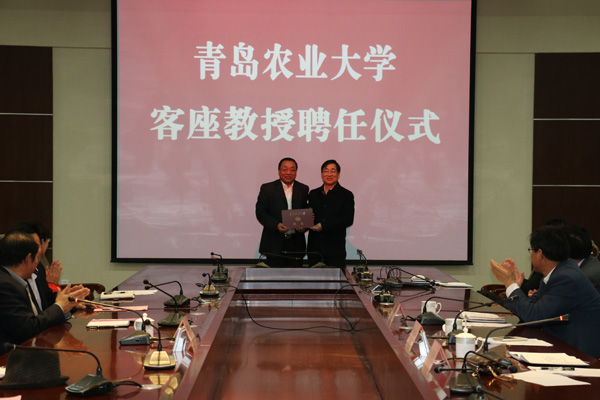 开云电竞官方网站