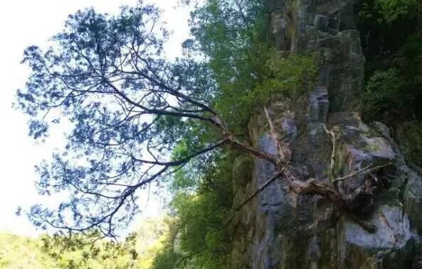 试论当前我国建筑工程管理的现状及创新_开云电竞中国