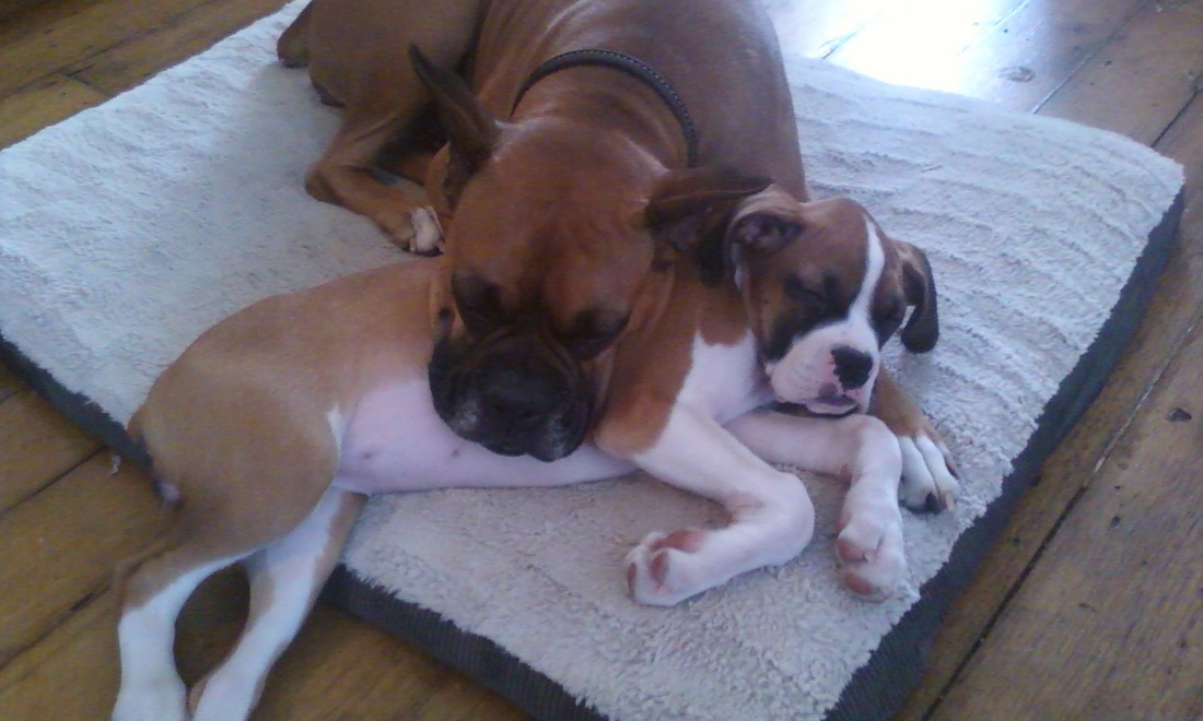 第172章 大战雷绝(3)(第六更)“开云电竞”(图2) 开云电竞官方网站