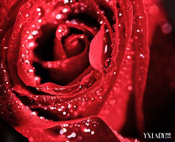 开云电竞官方网站-第7147章 顶层骷髅(求月票)(图3) 开云电竞中国