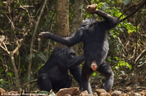 开云电竞官方网站：第2735章 我又不是孙猴儿